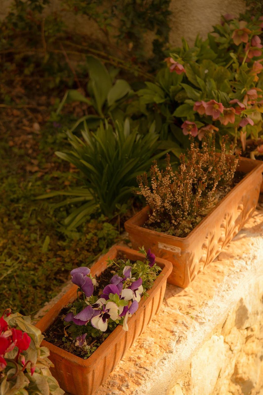 Dimora Valverde B&B Marano di Valpolicella Exterior foto
