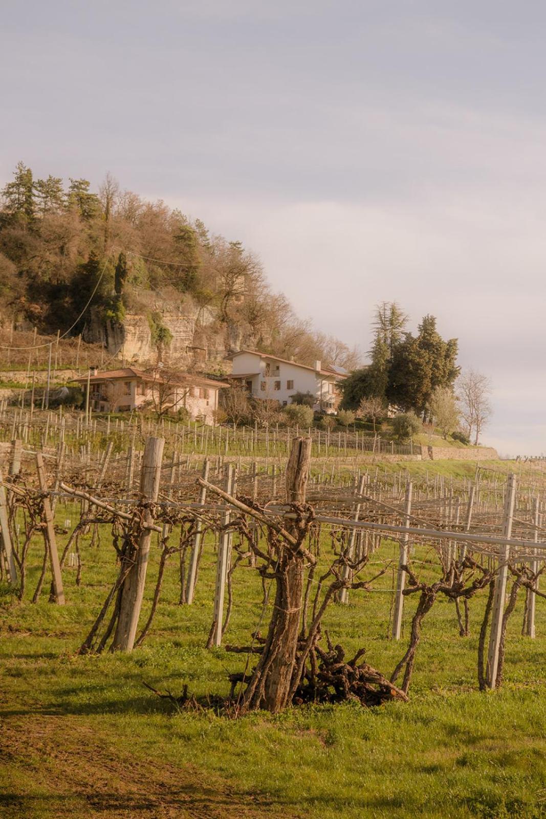 Dimora Valverde B&B Marano di Valpolicella Exterior foto