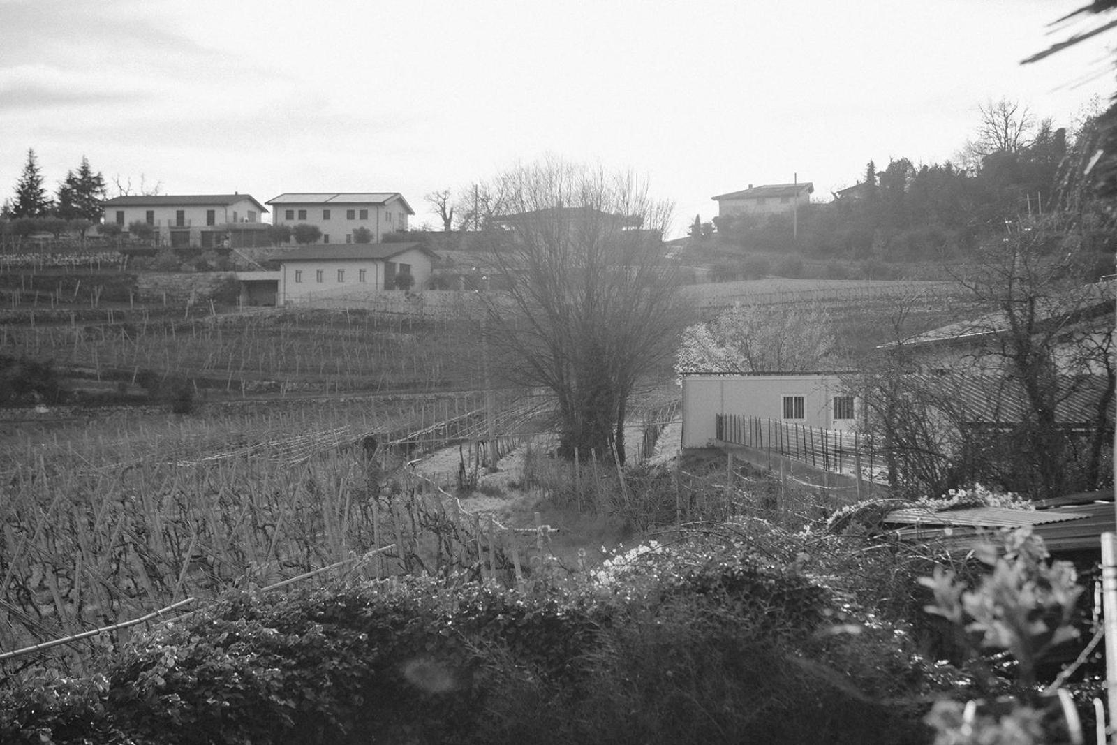 Dimora Valverde B&B Marano di Valpolicella Exterior foto